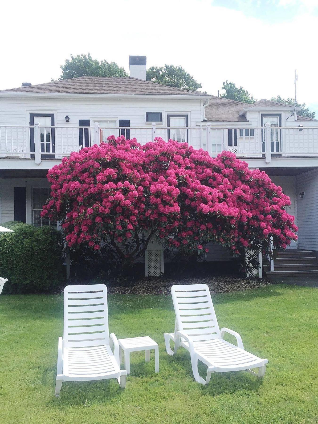 Shoreway Acres Inn Falmouth Kültér fotó
